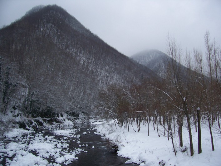  Image name: molino 2008 292.jpg 
 width: 708 pixel 
 height: 532 pixel 
 Size: 106223 bytes 
 Click to enlarge 